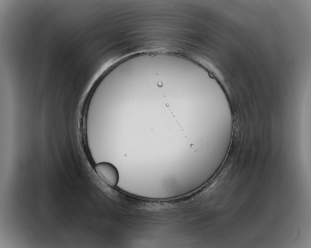 X0000088441091200705220910