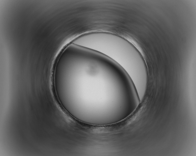 X0000088441093200705220909