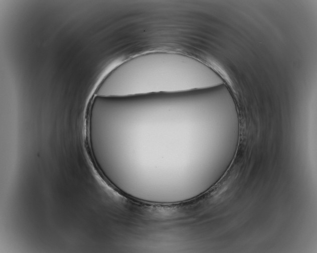 X0000088441095200705220909