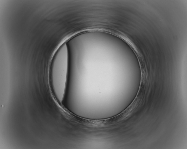 X0000088441101200705220909