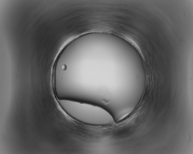 X0000088441103200705220909