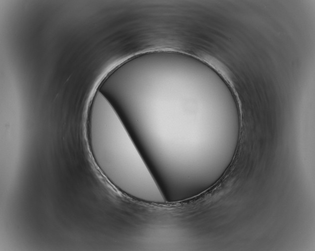 X0000088441104200705220909