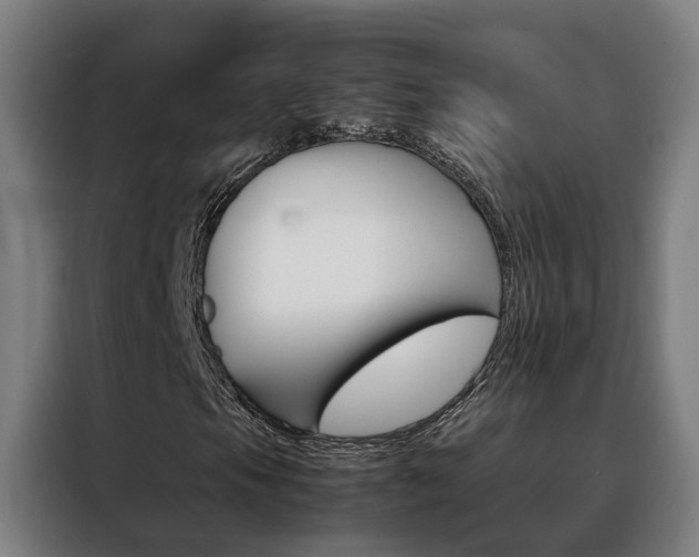 X0000088441105200705220909