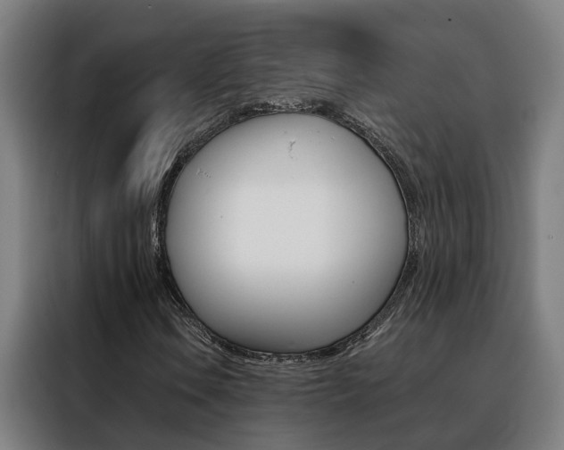 X0000088441106200705220909