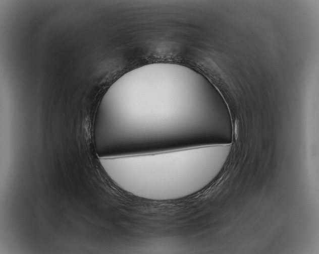 X0000088441107200705220909