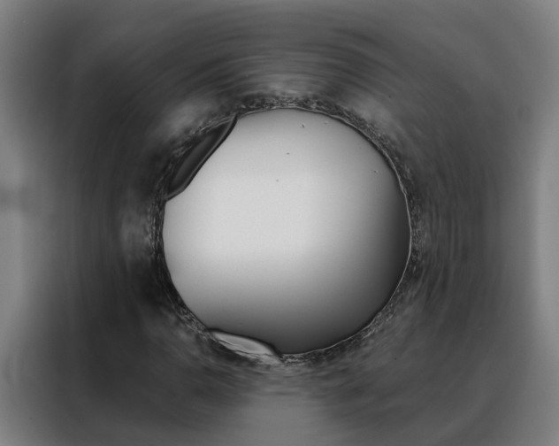 X0000088441110200705220909