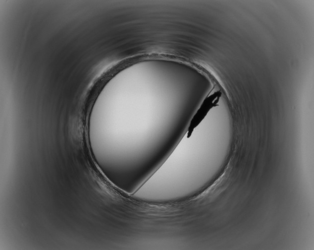 X0000088441115200705220909