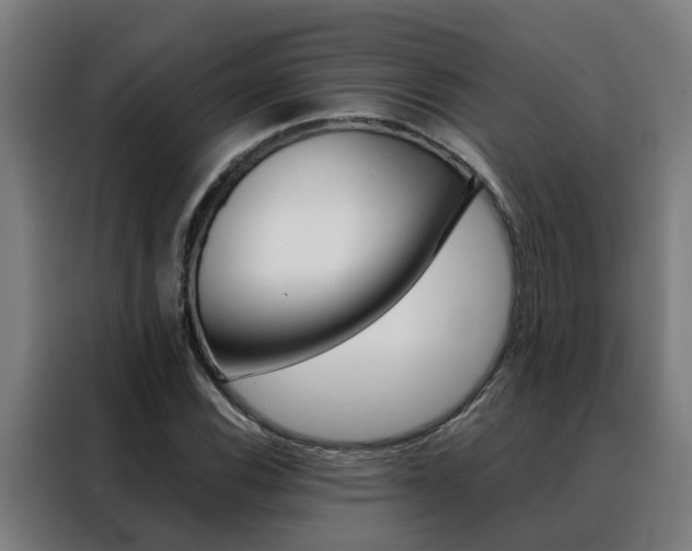 X0000088441116200705220909