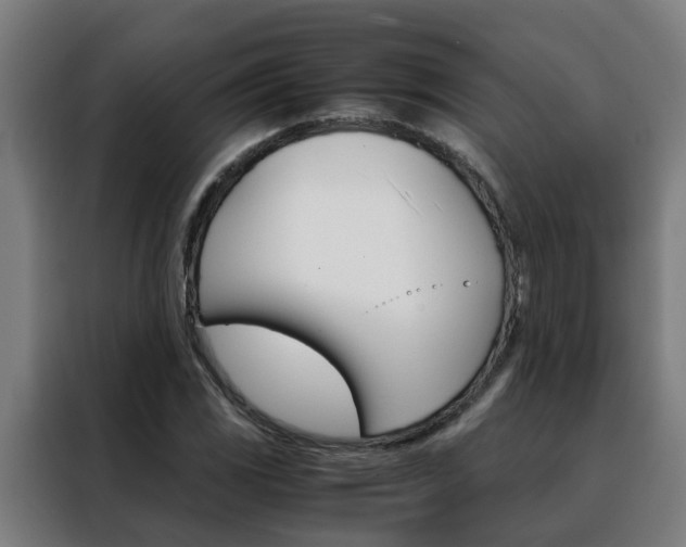X0000088441117200705220909