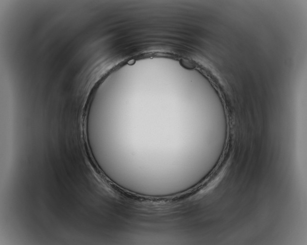 X0000088441121200705220909