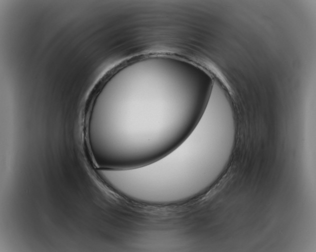 X0000088441124200705220909