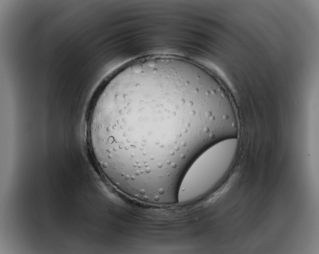 X0000088441125200705220909