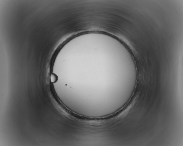 X0000088441126200705220909
