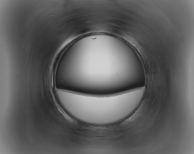 X0000088441127200705220909