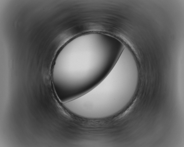 X0000088441129200705220909