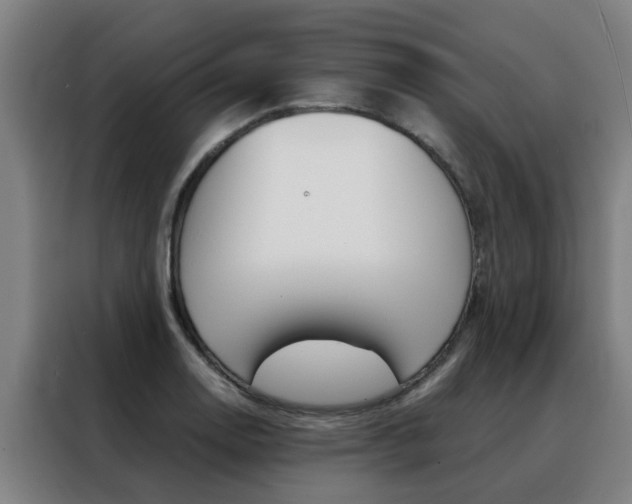 X0000088441130200705220909