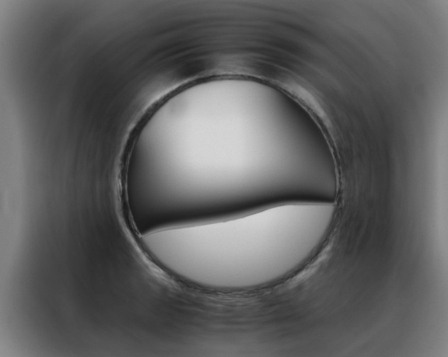 X0000088441133200705220909