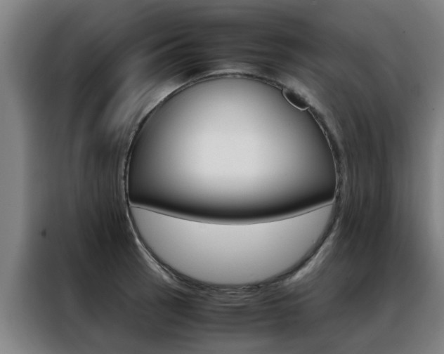 X0000088441137200705220909