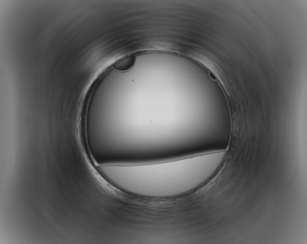 X0000088441139200705220909