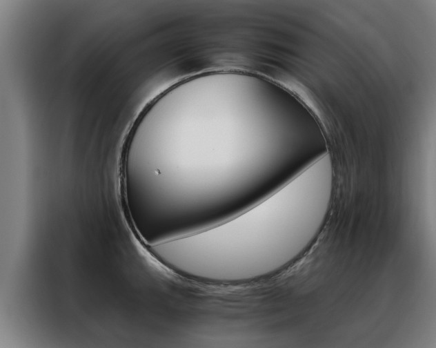 X0000088441143200705220909
