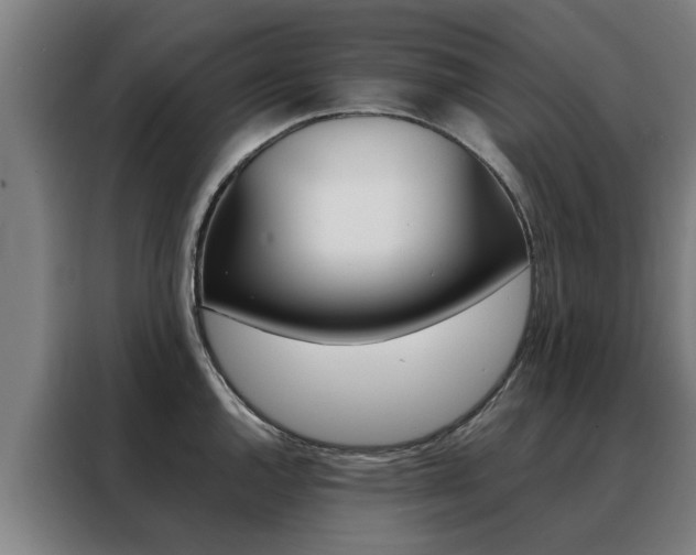 X0000088441144200705220909