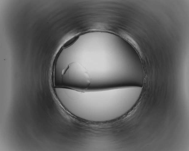 X0000088441146200705220909