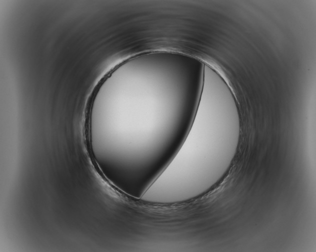 X0000088441147200705220909