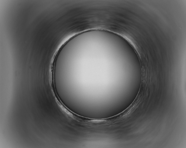 X0000088441151200705220909