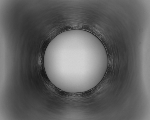 X0000088441154200705220909