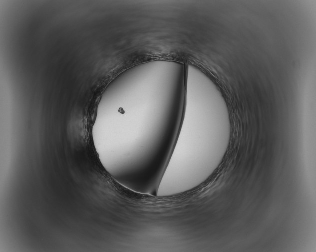 X0000088441156200705220909