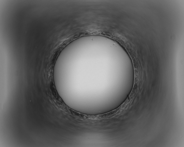 X0000088441157200705220909