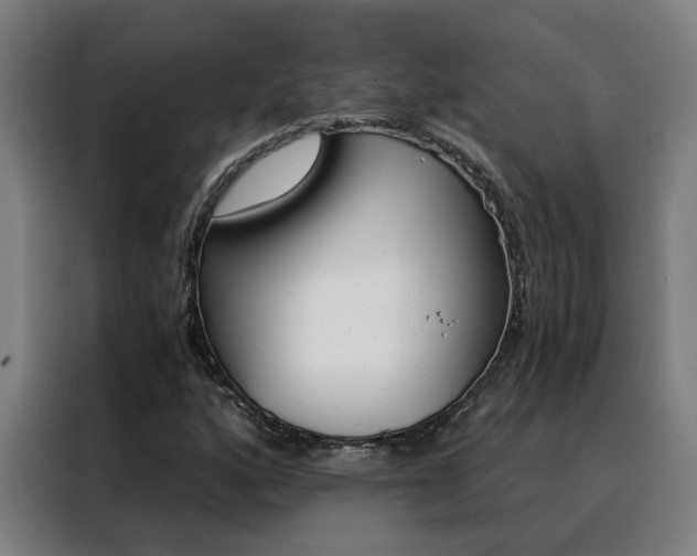 X0000088441160200705220909