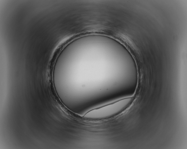 X0000088441164200705220909