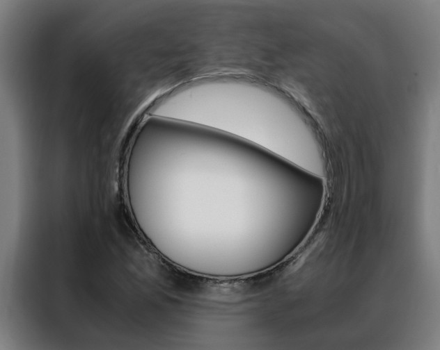 X0000088441165200705220909