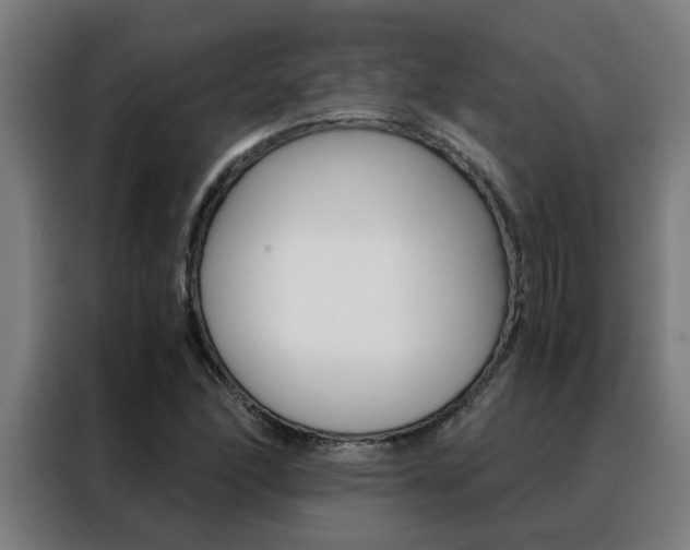X0000088441166200705220909