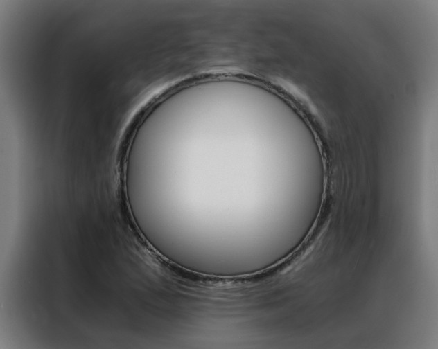 X0000088441167200705220909
