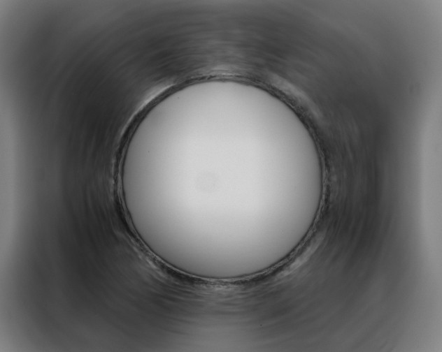 X0000088441170200705220908