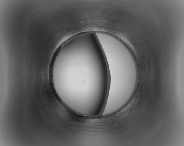 X0000088441173200705220908