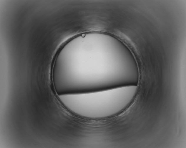 X0000088441174200705220908