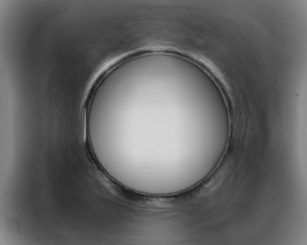 X0000088441175200705220908