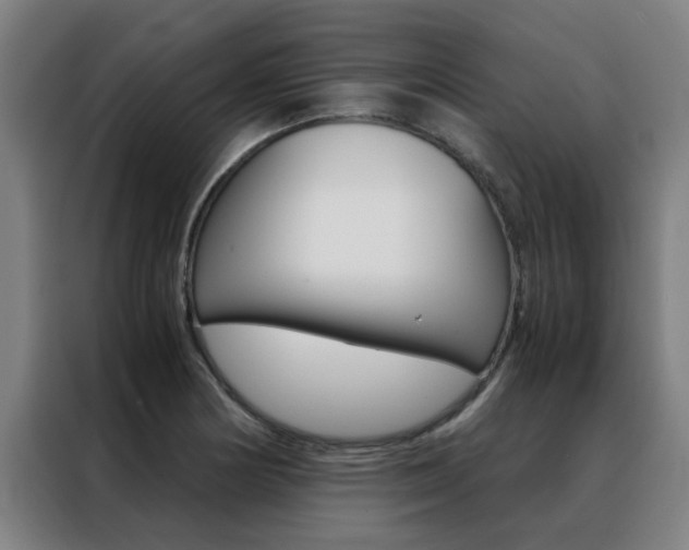 X0000088441178200705220908