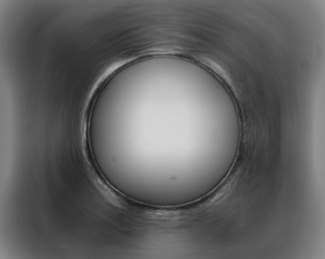 X0000088441179200705220908