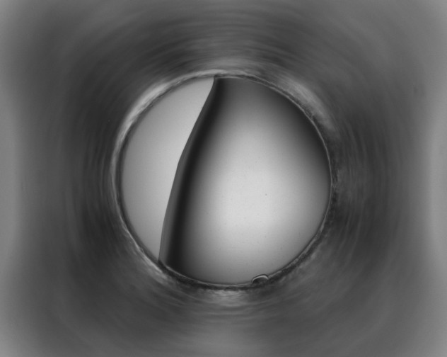 X0000088441180200705220908