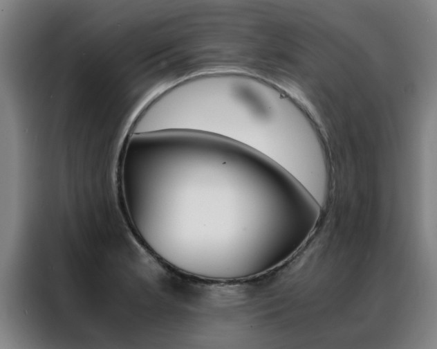 X0000088441181200705220908