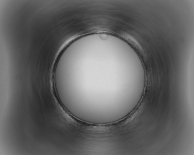 X0000088441182200705220908