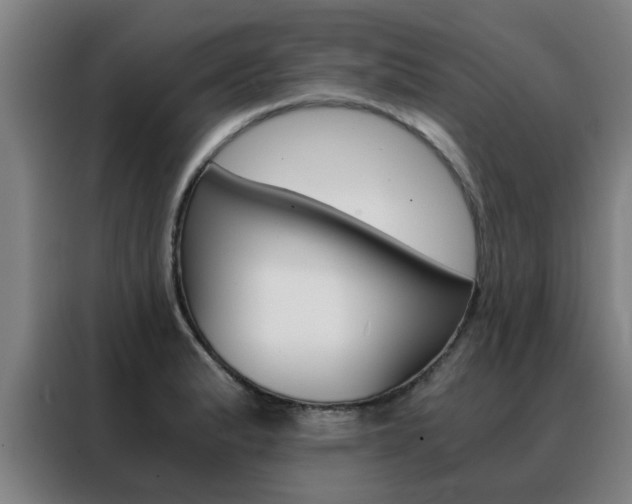 X0000088441183200705220908