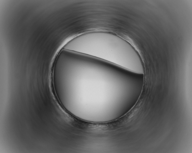 X0000088441187200705220908