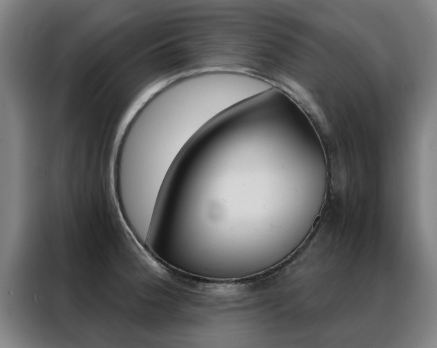 X0000088441188200705220908