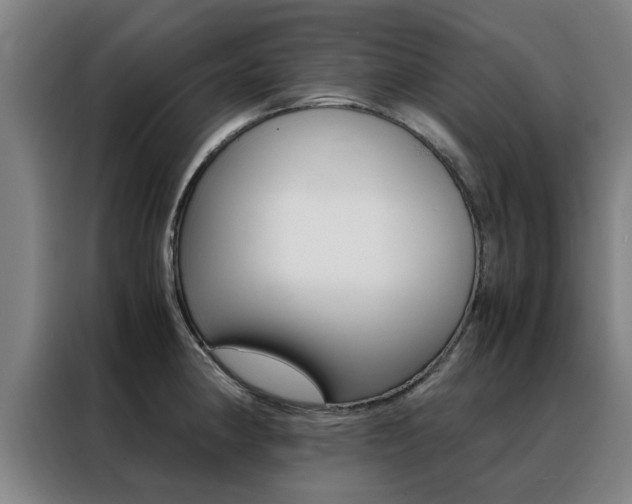 X0000088441190200705220908