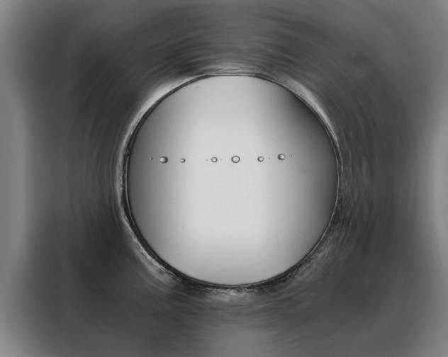 X0000088441195200705220908